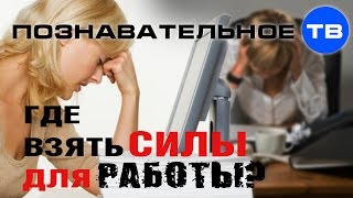 Где взять силы для работы? (Наталья Манежева)