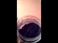 Пороховая мякоть своими руками 23