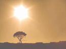Dhoop (Sunshine) by Aunty Disco Project Dhoop (Sunshine) by Aunty Disco Project