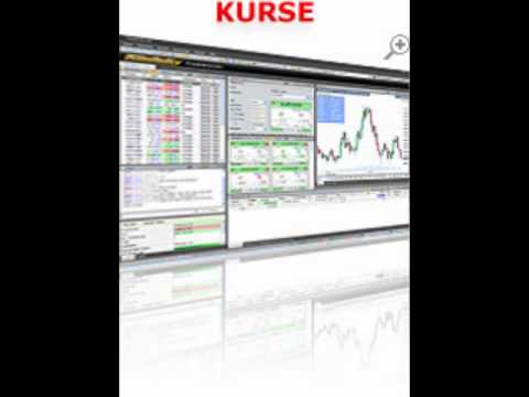 Loyalforex