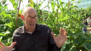 Queen of the Sun ~ Documentary Trailer