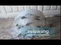 Picture Seluwang Suara Walet Asli Kalimantan