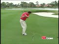 Image Golf Pitch Shot