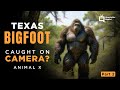 Part 2 Texas Bigfoot - Animal X Natural Mystery Unit