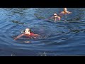 The girls swimming around in the pond