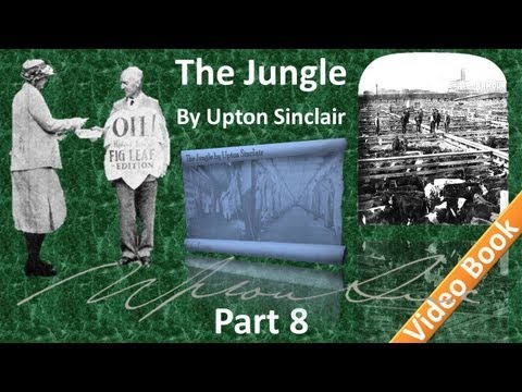 Part 8 - The Jungle Audiobook by Upton Sinclair (Chs 29-31)