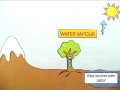 Stop Motion Animation - Water Cycle