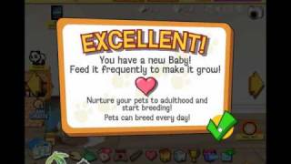 Happy Pets  Video Game