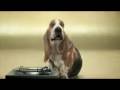 Beatbox con estilo Beatbox con estilo