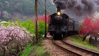【中古】 箱庭鉄道 ジオラマスターのチカラ 大井川鉄道井川線編 伊豆急行線編 ドキュメント・バラエティ 2022.04)鉄コレで大井川鐵道21000系 - YouTube