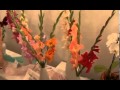 Výstava letních květin v Rapotíně