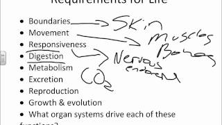 Chapter 1 An Introduction To Anatomy And Physiology Test