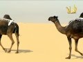 منقية عوض عبدالمنعم الغبيوي العتيبي الكويت