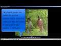 Picture Descargar Pelicula Tarzan X Español