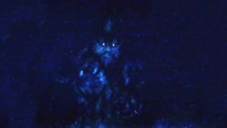 The Legend of Grassman - Trailer #2