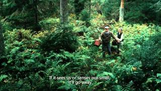 Toomas Hussari film "Seenelkäik". Teaser 4