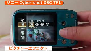 ソニー Cyber-shot DSC-TF1(カメラのキタムラ動画_SONY)