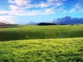 قصار السور نامق مصطفى تلاوة نادرة ومن اجمل التلاوات اهدي ثوابها اى روح والدي رحمه الله