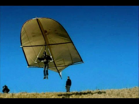 Leonardo da Vinci Glider - reality test, Rate My Science