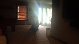 The Redneck That Saved The World Trailer