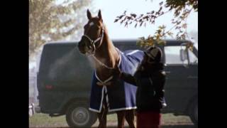 "Penny & Red" official trailer