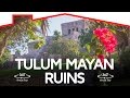 360Â° Video Explore Tulum Mayan Ruins