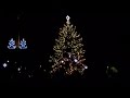 Petrovice u Karviné: Rozsvícení vánočního stromu