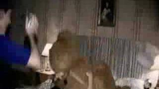 Skins Extended Party Trailer