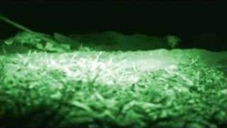 Poughkeepsie Tapes Japanese Trailer