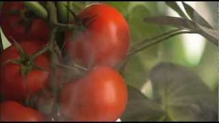 Food Matters (2008) Official Trailer