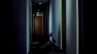 Buddhist Fist And Tiger Claws - trailer