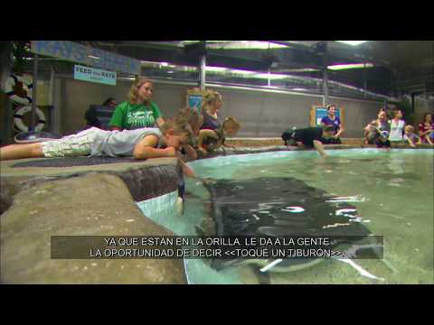 ¡Adelante! | Program | #1526