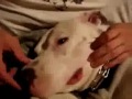 Image Virgin S Pussy Medical Video