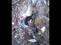 Photo Bokep Indo