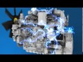Vidéo Module de contrôle électronique/ALT - 1206e 