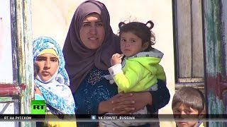 Россия доставила в Алеппо первую партию гуманитарной помощи
