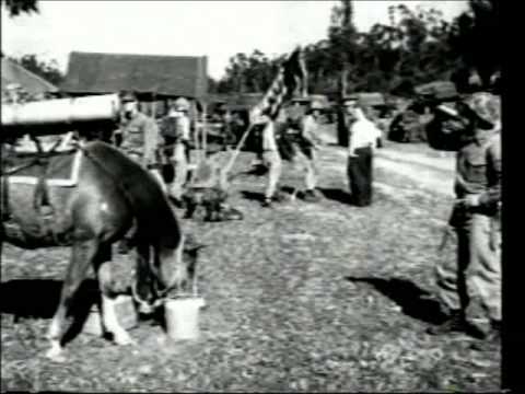Sgt Reckless - Korean War Horse Hero
