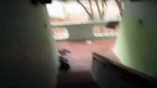Dongala Muta-2 (Exclusive Trailer)
