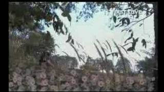 First Love (Trailer)