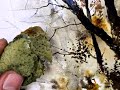 Watercolour Painting with a Sponge