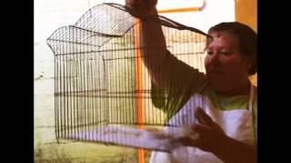 trailer la prueba.wmv