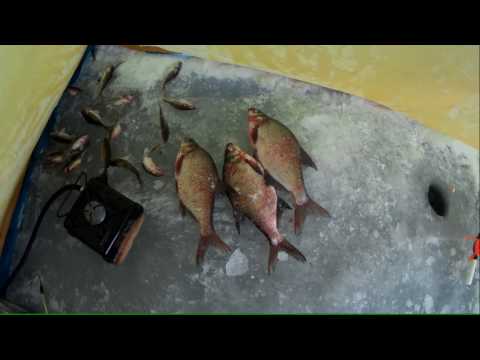 ловля леща на мандулу ловля леща на мандулу