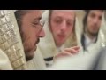 Lipa and the Rubashkin petition