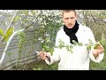 Фрагмент с середины видео Как лечить простуду! Рецепт от простуды 3-х поколений моей семьи. Фрагмент с середины видео Как лечить простуду! Рецепт от простуды 3-х поколений моей семьи.