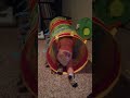 Image 2013 02 Ethan Gage Playing In Tube 89