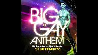 "Big Gay Anthem (StarLab Remix)"- DJ STONEDOG feat. THARA BANDA [Teaser]