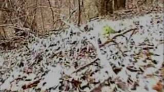 Evil Dead Remake- Necronomicon Ex-Mortis trailer #2 Evil Dead Remake- Necronomicon Ex-Mortis trailer #2