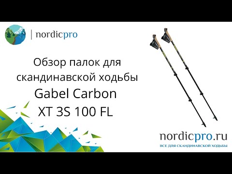 Gabel Carbon XT 3S 100 FL