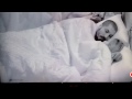 Picture Bbb 15 Fernando Fazendo Sexo Com Aline