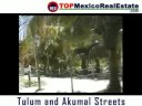 Tulum and Akumal streets by Top Tulum Real Estate 
